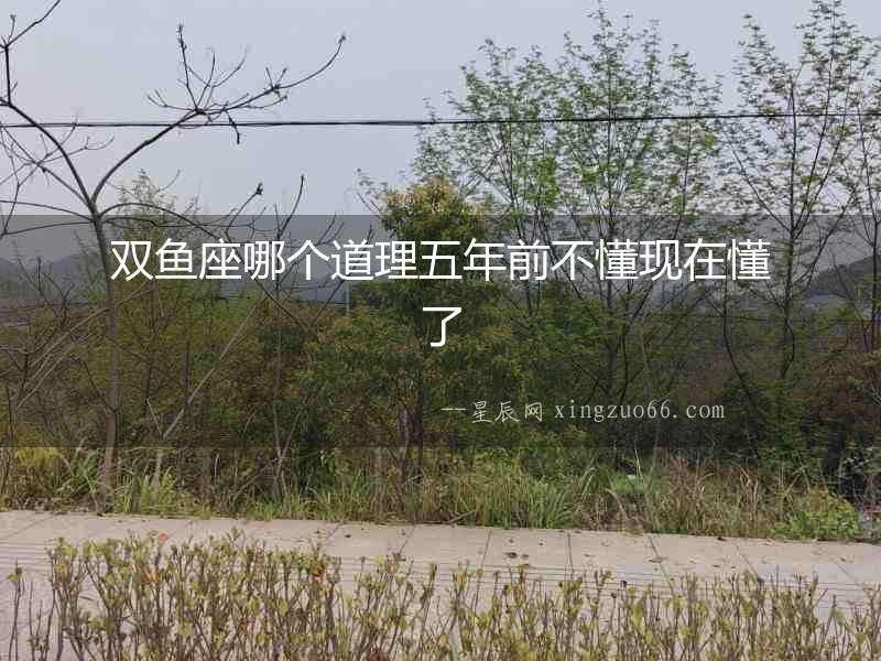 雙魚座哪個道理五年前不懂現在懂了