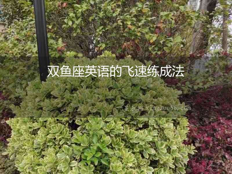 雙魚座英語的飛速練成法