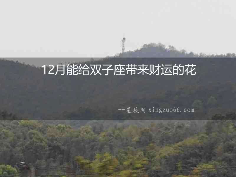12月能給雙子座帶來財運的花