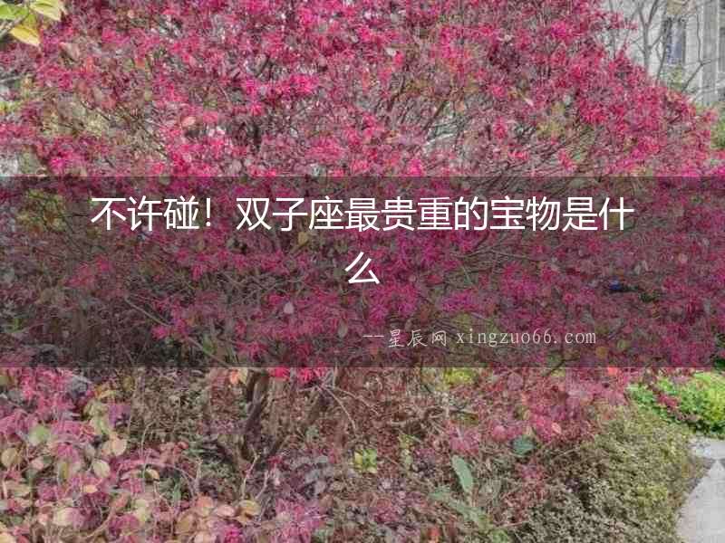 不許碰！雙子座最貴重的寶物是什么