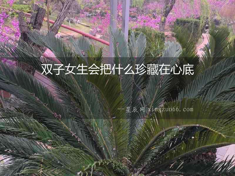 雙子女生會把什么珍藏在心底
