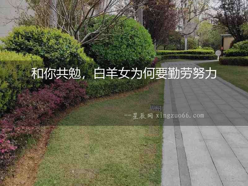 和你共勉，白羊女為何要勤勞努力