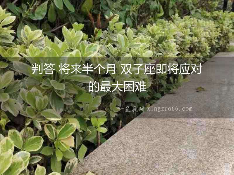 判答 將來半個月 雙子座即將應(yīng)對的最大困難
