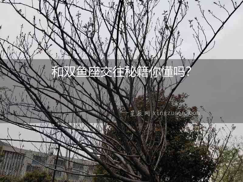 和雙魚座交往秘籍你懂嗎？