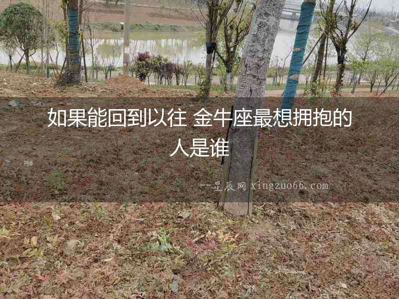 如果能回到以往 金牛座最想擁抱的人是誰