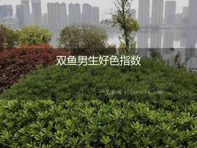 雙魚男生好色指數
