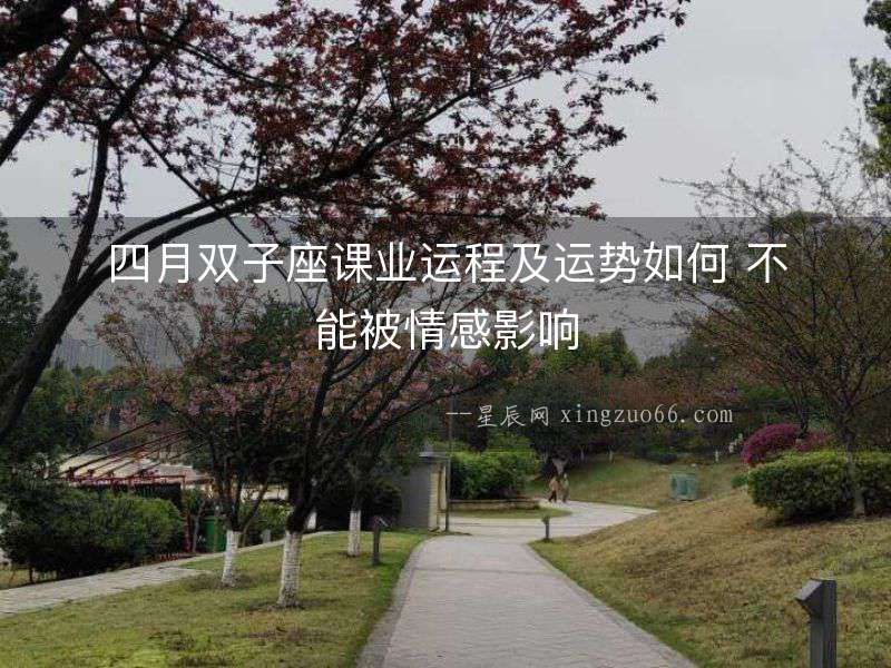 四月雙子座課業運程及運勢如何 不能被情感影響