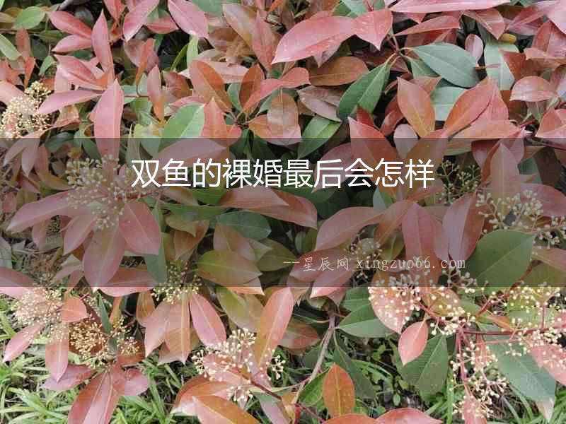 雙魚的裸婚最后會怎樣