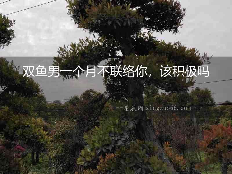 雙魚男一個(gè)月不聯(lián)絡(luò)你，該積極嗎