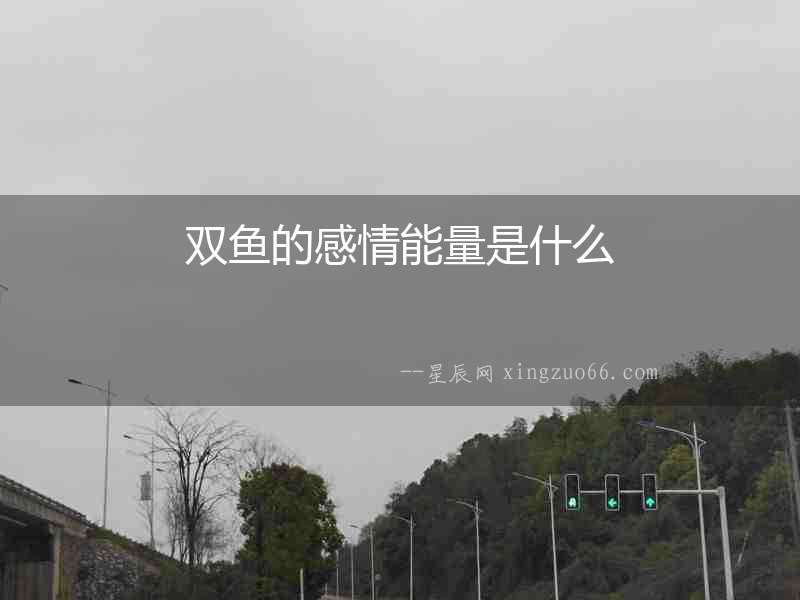 雙魚的感情能量是什么