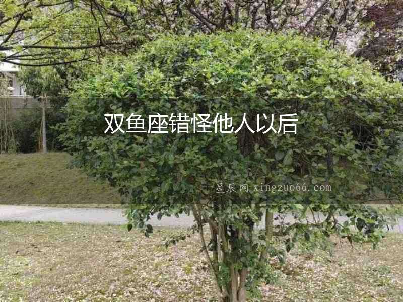 雙魚座錯怪他人以后