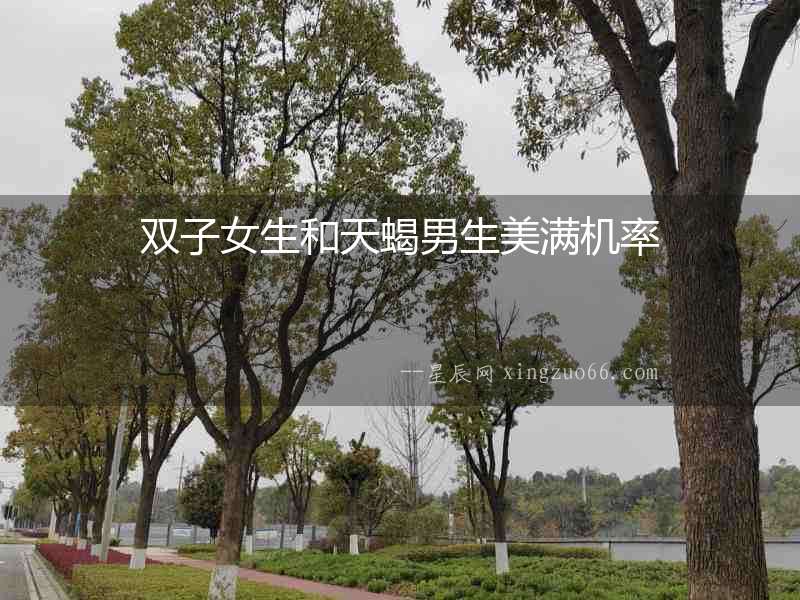 雙子女生和天蝎男生美滿機率