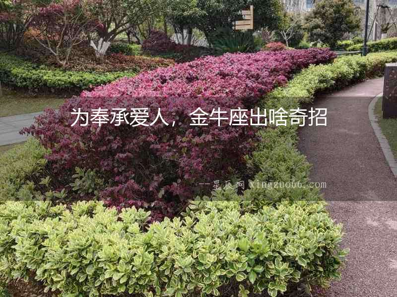為奉承愛人，金牛座出啥奇招