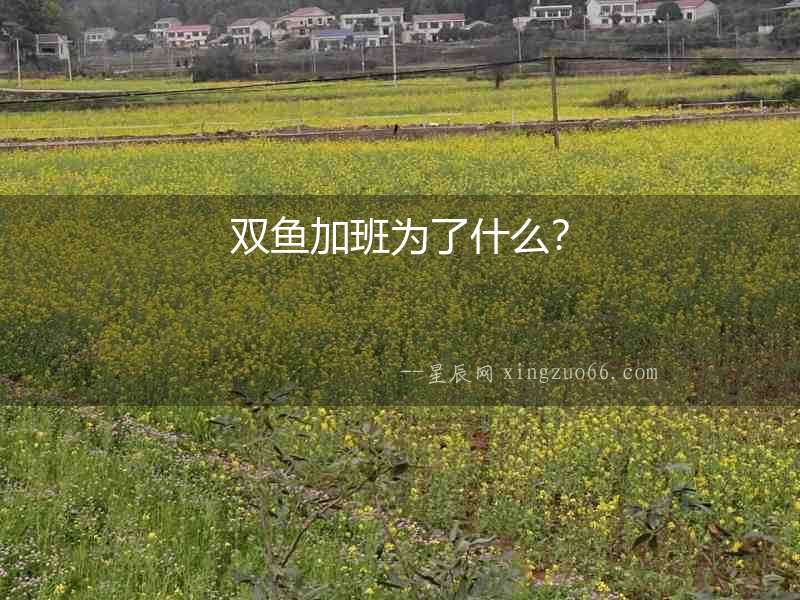 雙魚加班為了什么？