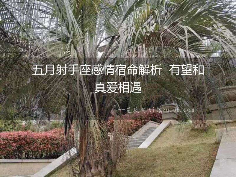 五月射手座感情宿命解析  有望和真愛相遇