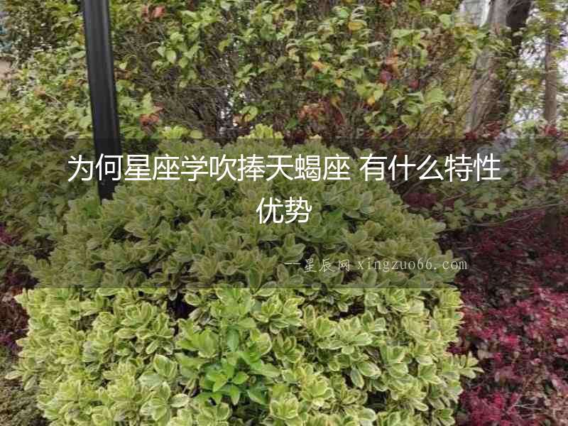 為何星座學吹捧天蝎座 有什么特性優勢
