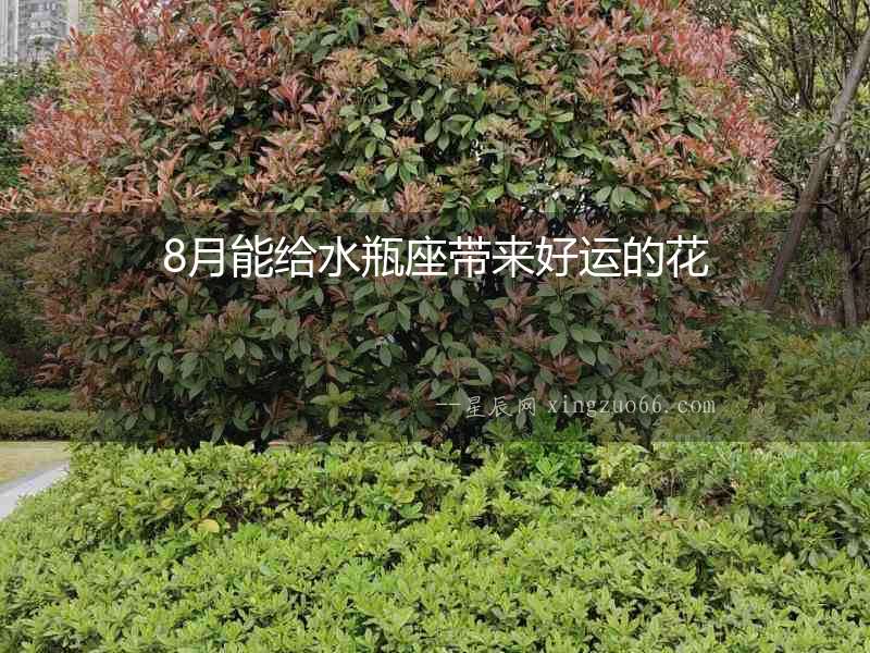 8月能給水瓶座帶來好運的花