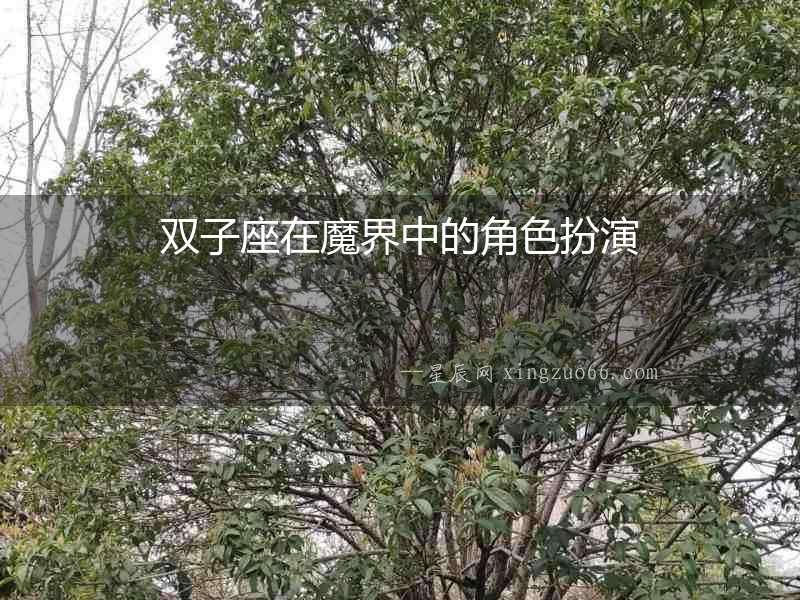 雙子座在魔界中的角色扮演