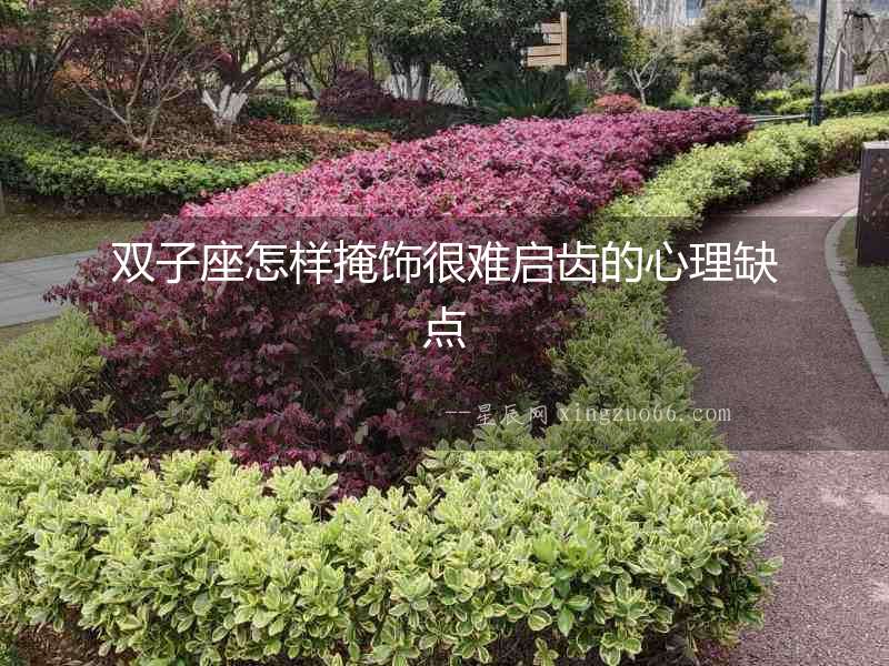 雙子座怎樣掩飾很難啟齒的心理缺點