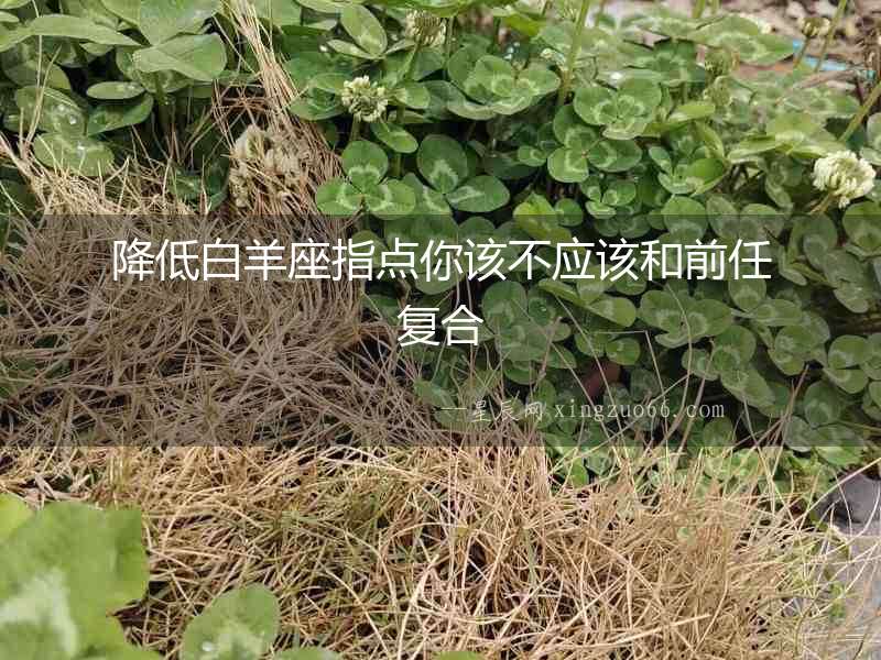 降低白羊座指點你該不應該和前任復合