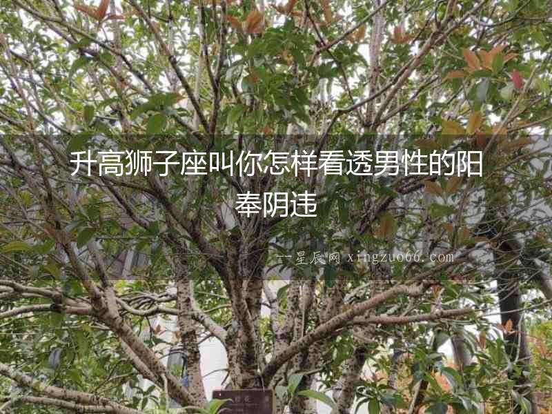 升高獅子座叫你怎樣看透男性的陽(yáng)奉陰違