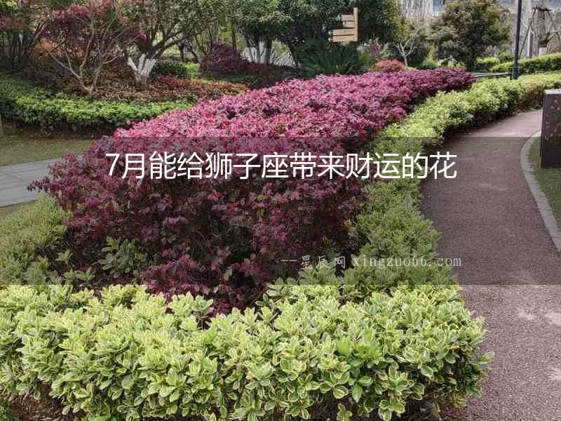 7月能給獅子座帶來財運的花
