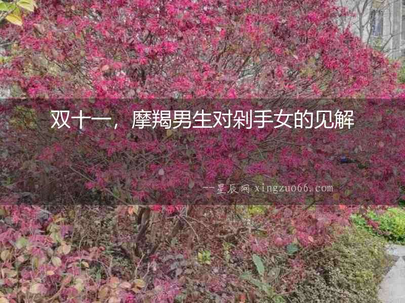 雙十一，摩羯男生對剁手女的見解