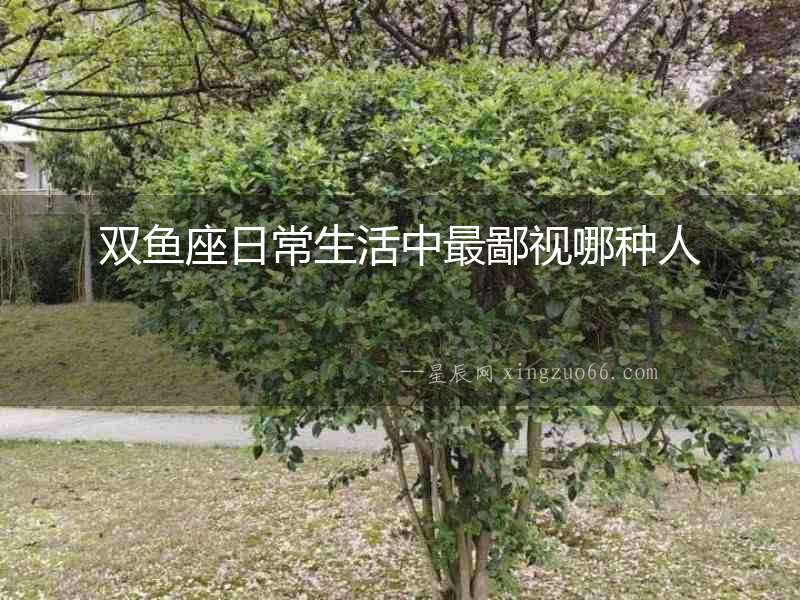 雙魚座日常生活中最鄙視哪種人