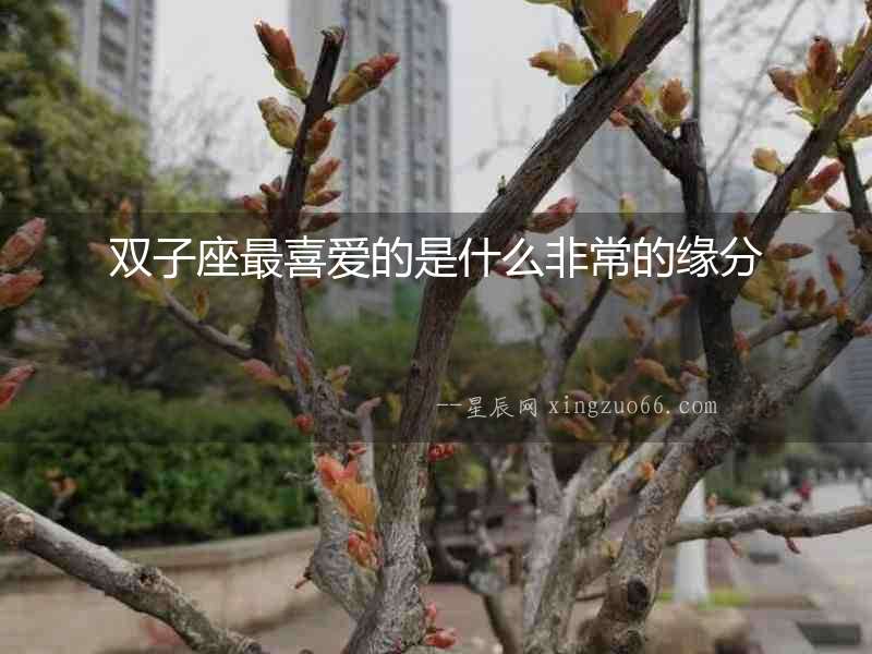 雙子座最喜愛的是什么非常的緣分