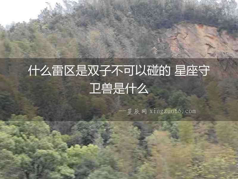 什么雷區是雙子不可以碰的 星座守衛獸是什么