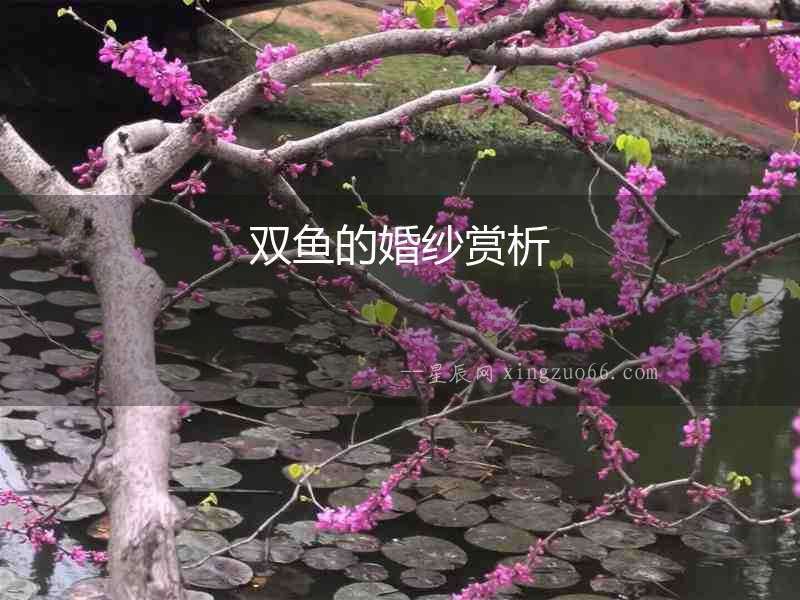 雙魚的婚紗賞析