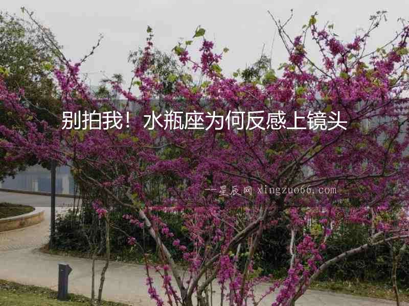 別拍我！水瓶座為何反感上鏡頭