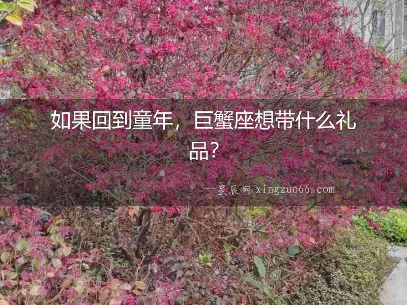如果回到童年，巨蟹座想帶什么禮品？