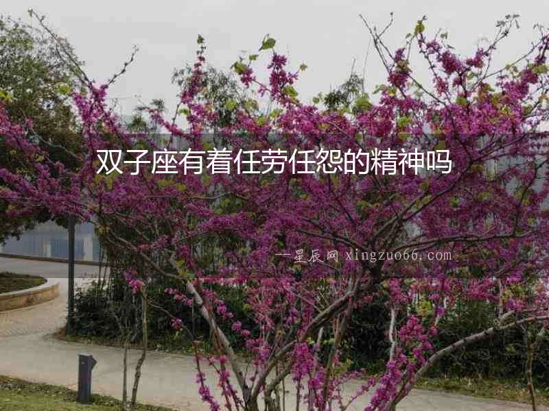 雙子座有著任勞任怨的精神嗎