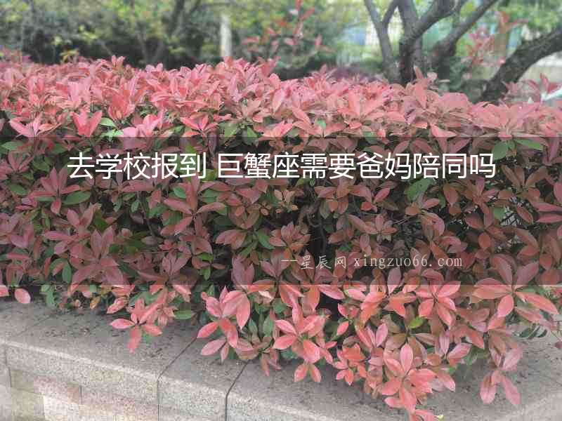 去學校報到 巨蟹座需要爸媽陪同嗎