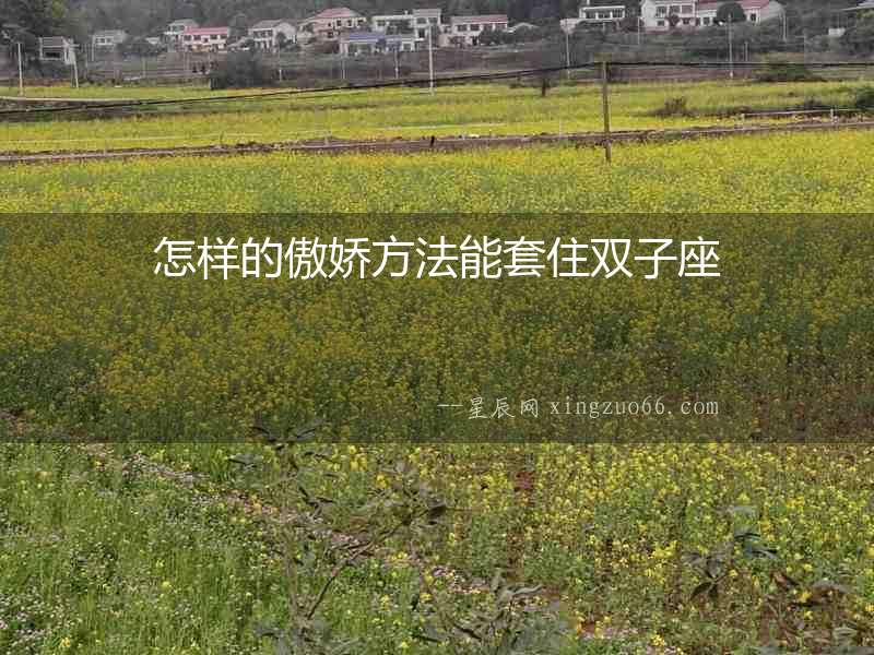 怎樣的傲嬌方法能套住雙子座