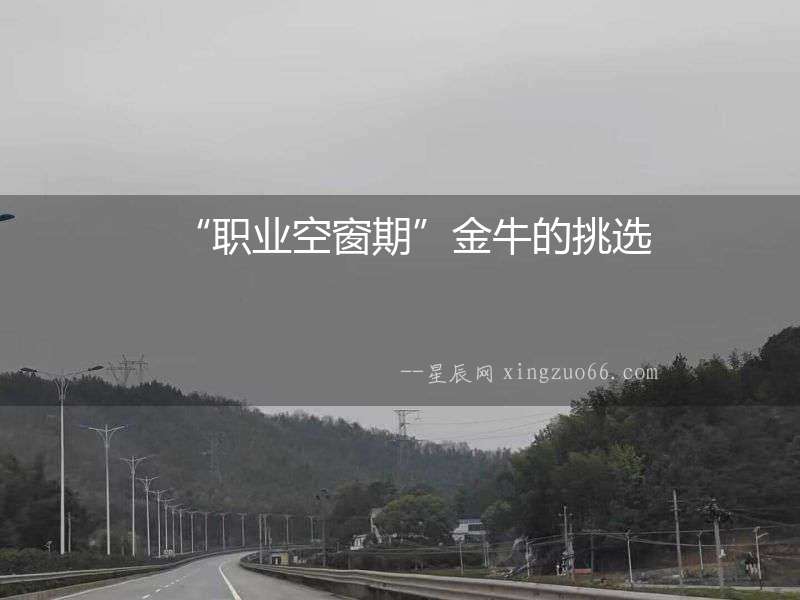 “職業空窗期”金牛的挑選