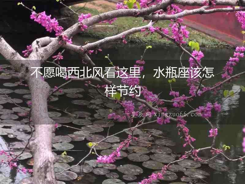 不愿喝西北風(fēng)看這里，水瓶座該怎樣節(jié)約
