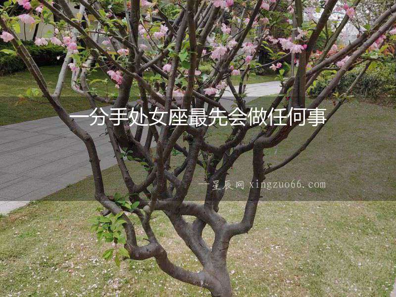 一分手處女座最先會做任何事