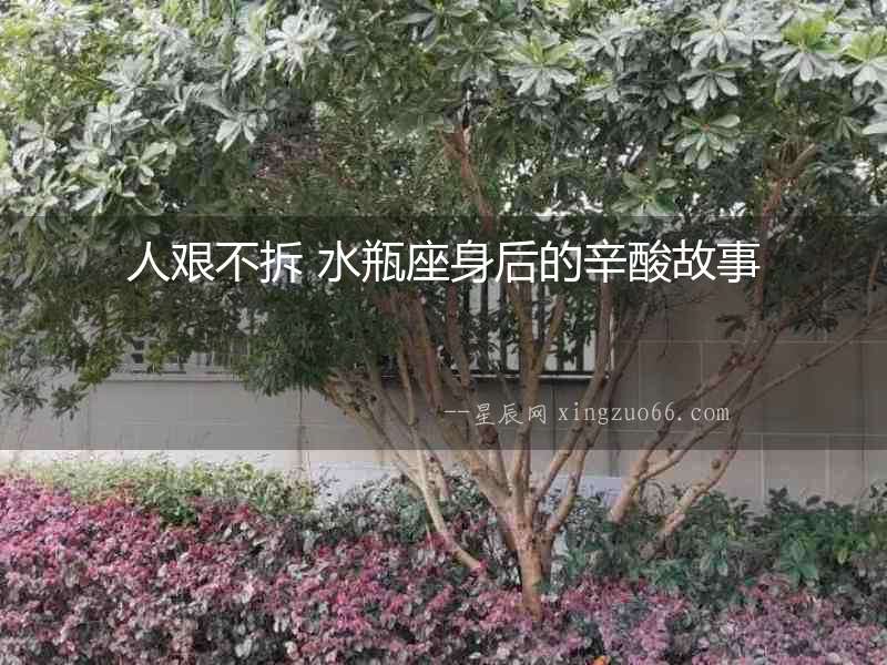 人艱不拆 水瓶座身后的辛酸故事