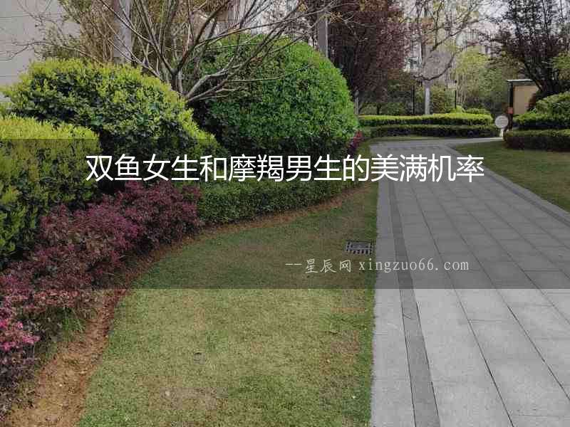 雙魚女生和摩羯男生的美滿機率