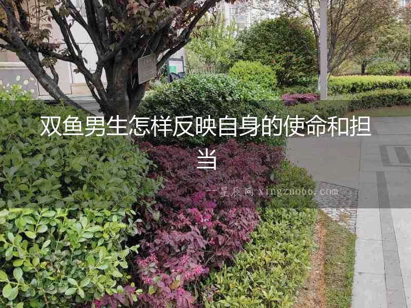 雙魚男生怎樣反映自身的使命和擔(dān)當(dāng)