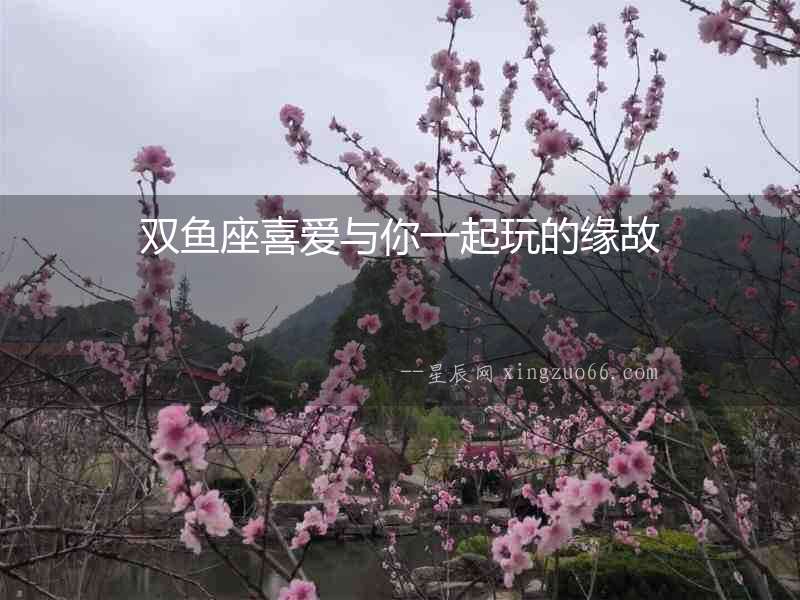雙魚座喜愛與你一起玩的緣故