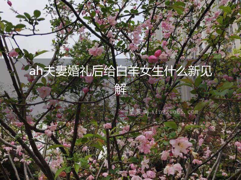 ah夫妻婚禮后給白羊女生什么新見解