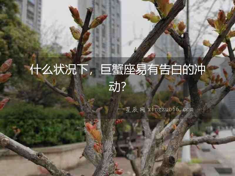 什么狀況下，巨蟹座易有告白的沖動？