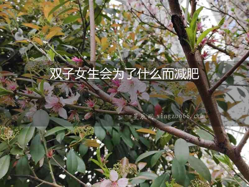 雙子女生會為了什么而減肥