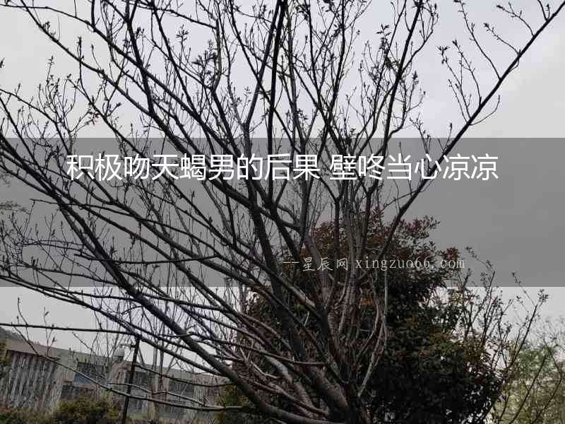 積極吻天蝎男的后果 壁咚當心涼涼
