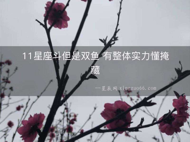 11星座斗但是雙魚 有整體實力懂掩藏