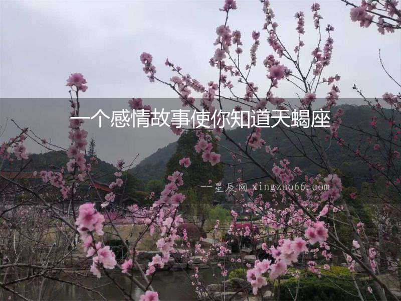 一個感情故事使你知道天蝎座