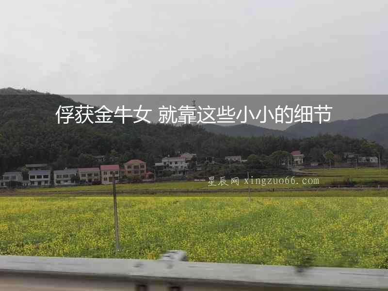 俘獲金牛女 就靠這些小小的細節